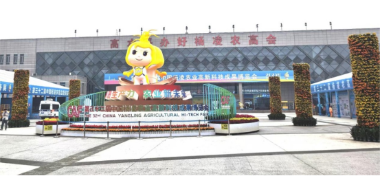 1761881570621904.png image.png